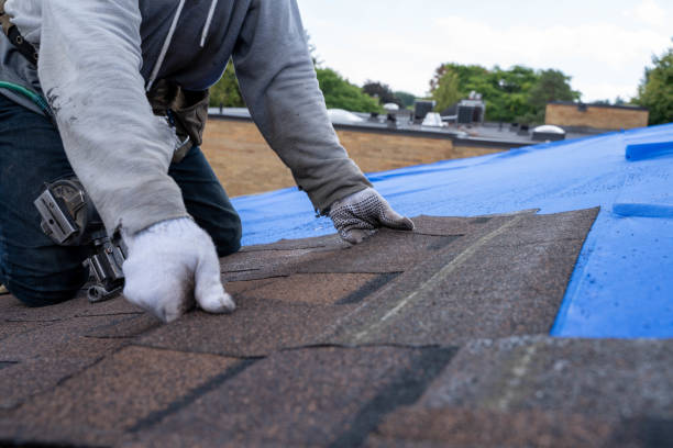 Best Roof Gutter Cleaning  in Stowell, TX
